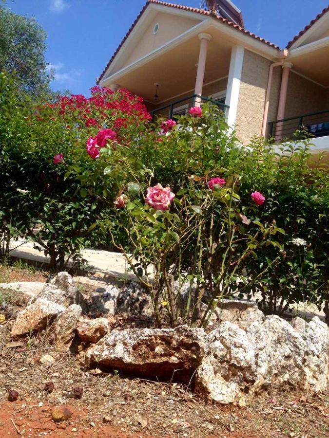 Niso Villas Gyri ภายนอก รูปภาพ